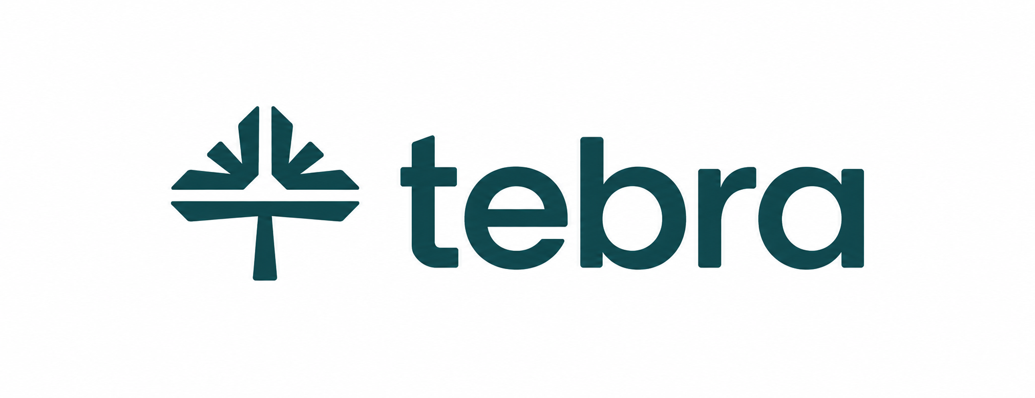 Tebra EHR integration